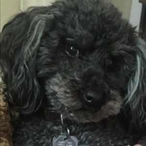 Meet your Posher, Jackie